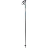 Leki Quantum PAS Ski Poles