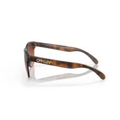 Oakley Frogskins Lite Sunglasses + Prizm Brown Gradient Lenses -Ski Discount Shop 8101868 025 4