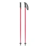 Atomic Amt Ski Poles